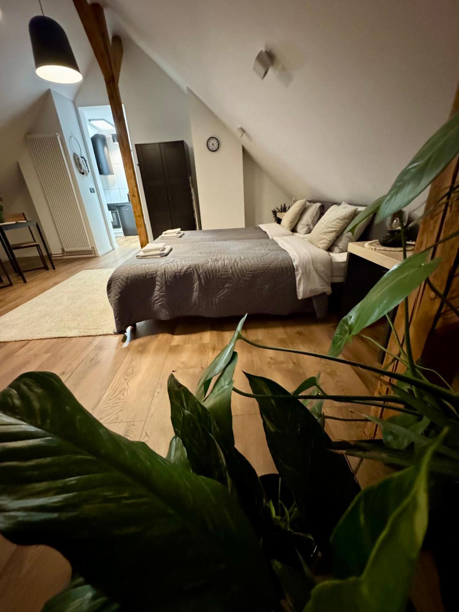 Apartamenty Astor - Ksiezycowy Szczawno-Zdroj Exterior foto