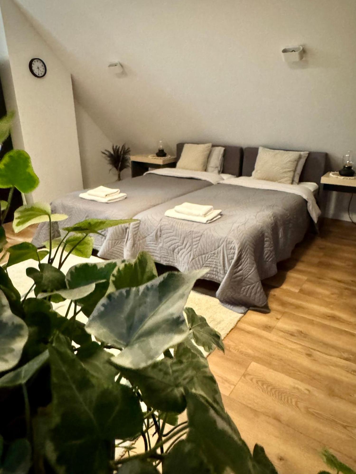 Apartamenty Astor - Ksiezycowy Szczawno-Zdroj Exterior foto